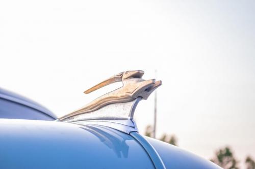 raedennphotography-128